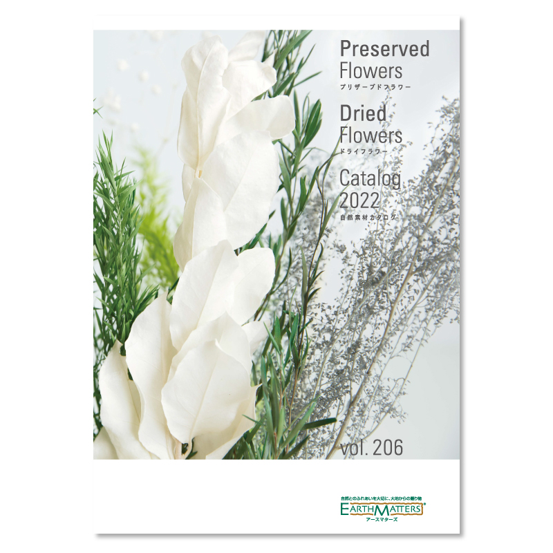 Preserved & Dried Flowers Vol206