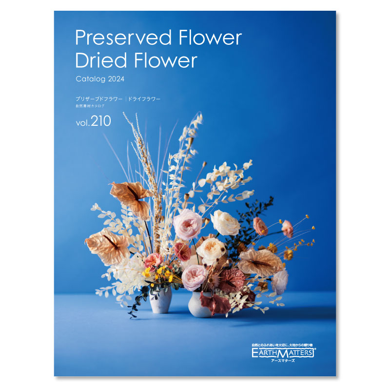 Preserved & Dried Flowers Vol210
