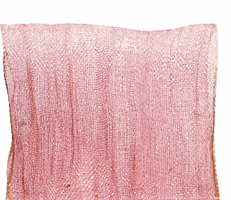 リプレ ソワレ 約28X10m 色番101