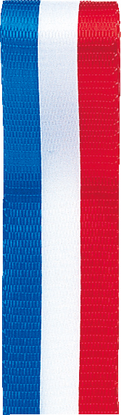 フランスリボン12X30M