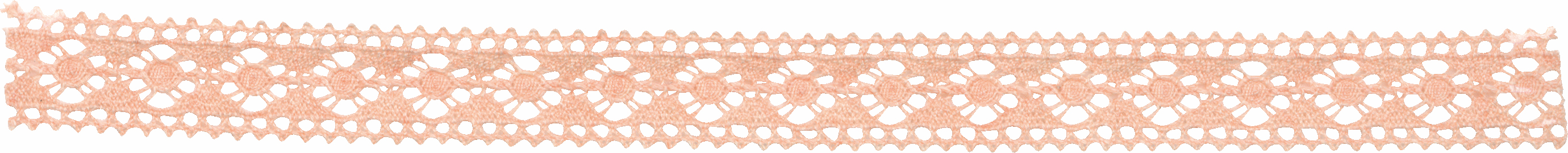 レース・オーガニックコットン251 約16X3m 色番6