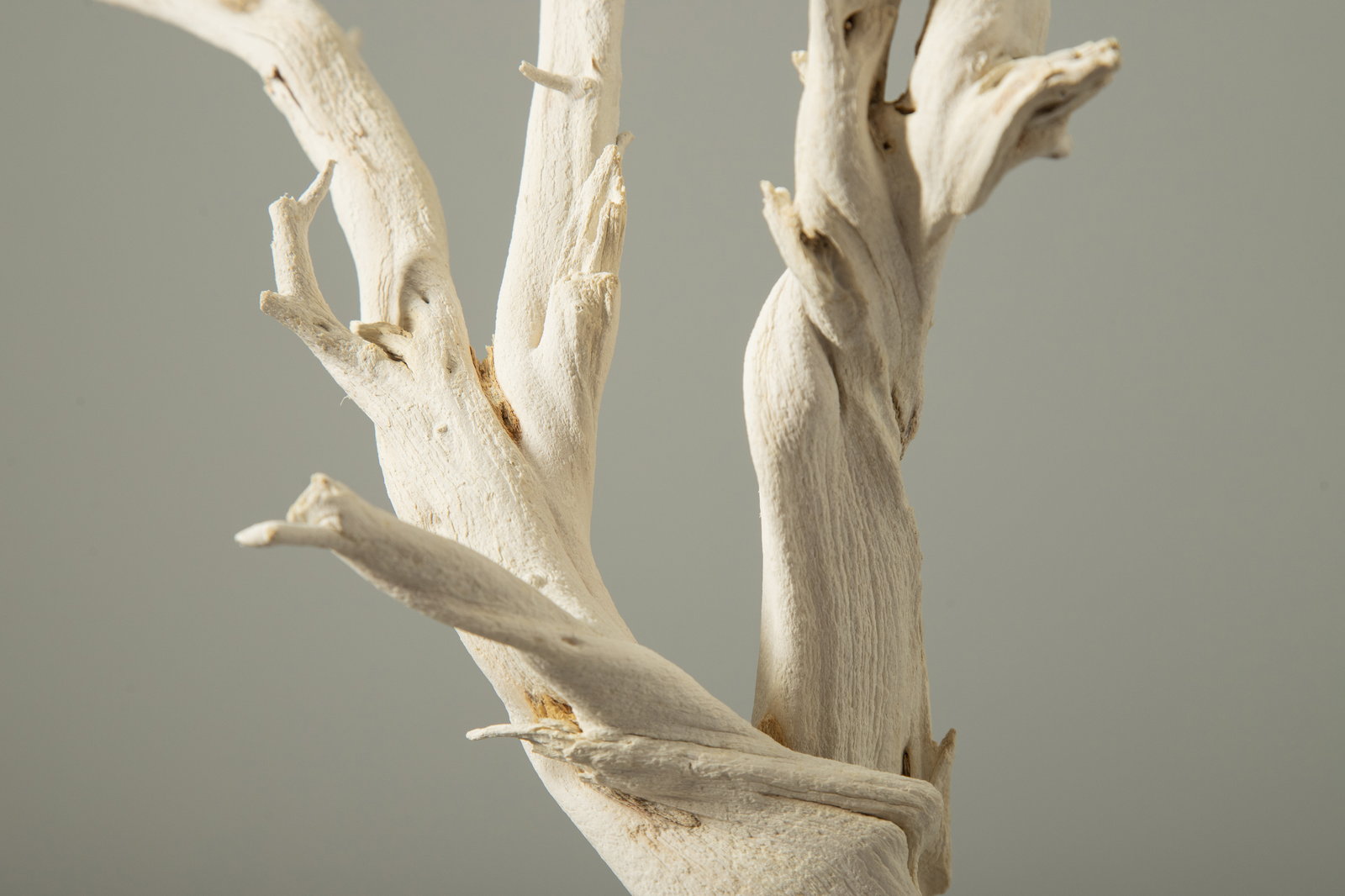 【送料別途】ゴーストウッド・ミニ オフホワイト ★