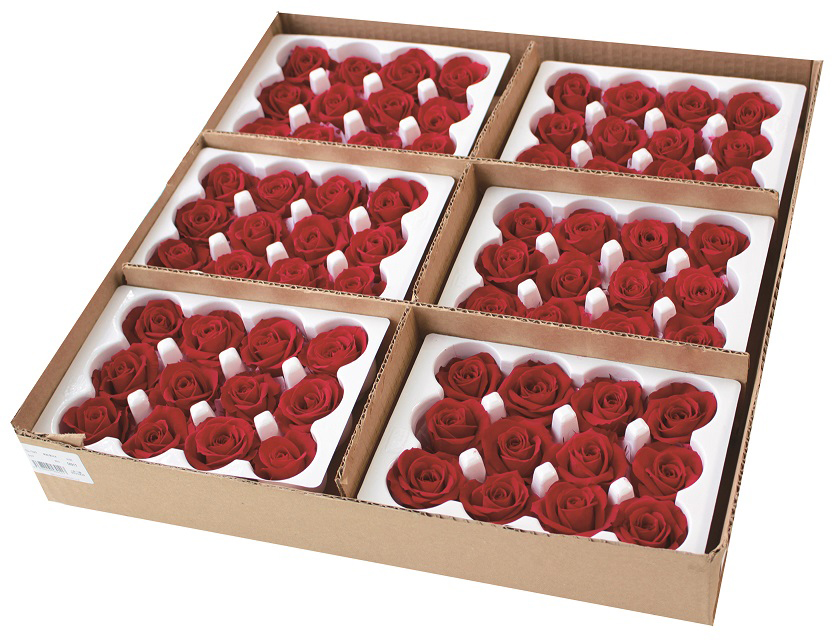 Verdissimoミニローズバルク レッド プリザーブドフラワー ｜ YDMオンラインストア ｜ 横浜ディスプレイミュージアム