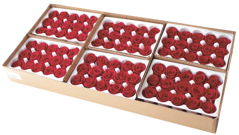 【プリザーブド】ヴェルディッシモ/ペティート　Aバルク　90輪　シャイニーレッド プリザーブド】ヴェルディッシモ/ペティート Aバルク 90輪 シャイニー