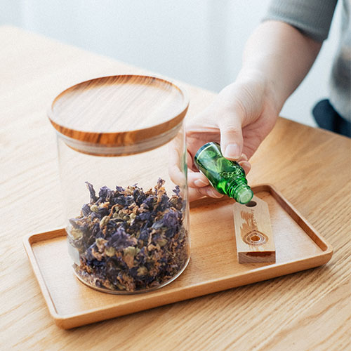 CT-N�J�t�F�g���[�i�`������