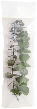 ユーカリ ベイビーブルー SP グリーン