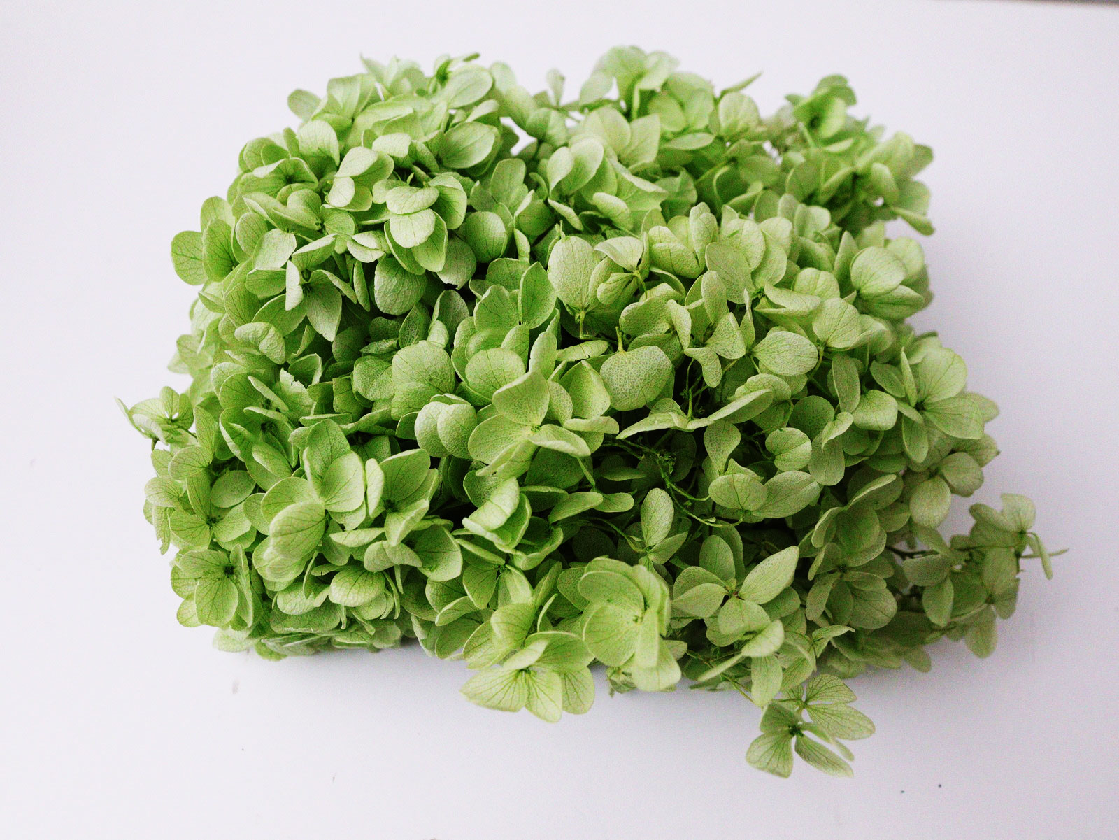 �����Я�ޱ�޻�