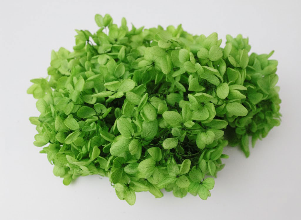 �����Я�ޱ�޻�