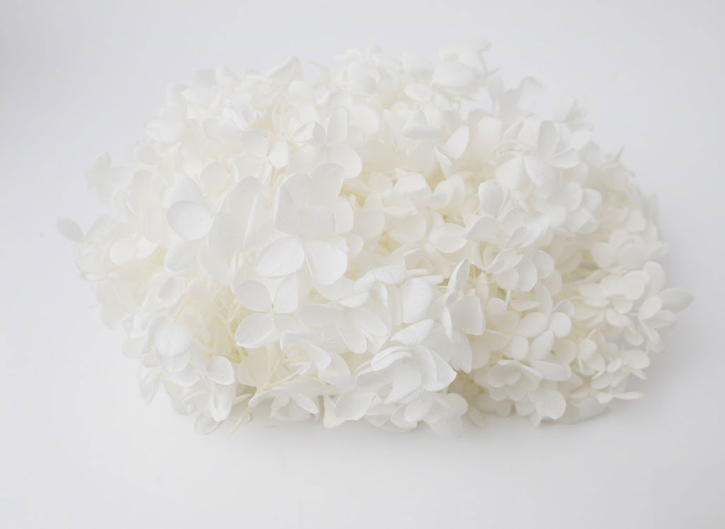 �y�����z�����Я�ޱ�޻�