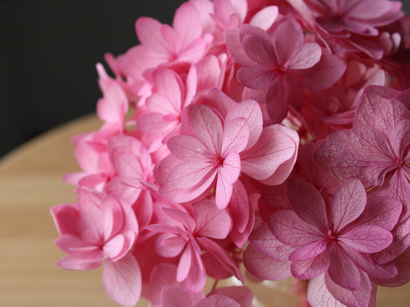 �Ђȱ�޻� ��ݸ