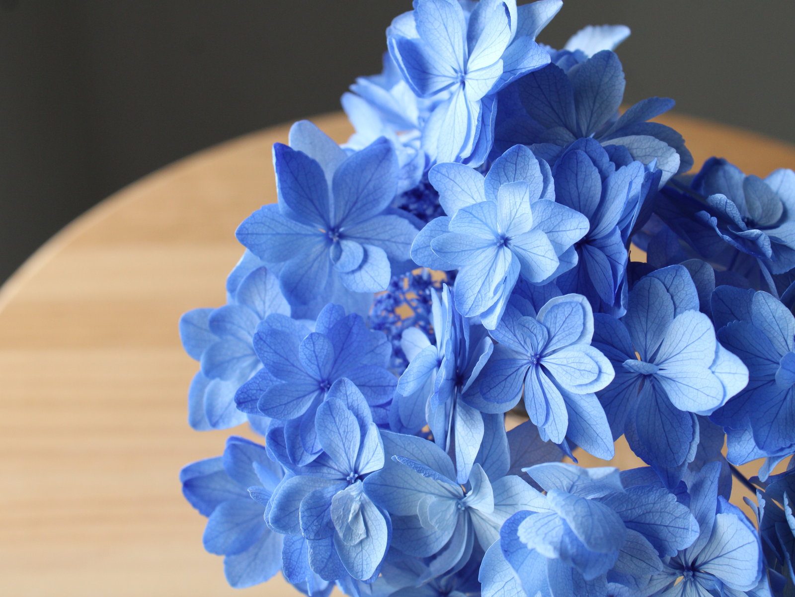 �Ђȱ�޻� ��ٰ