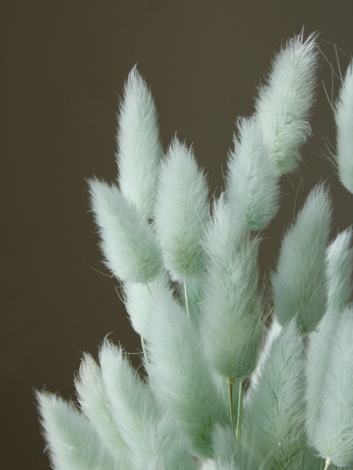 ׸�׽ ����ĸ�ذ�