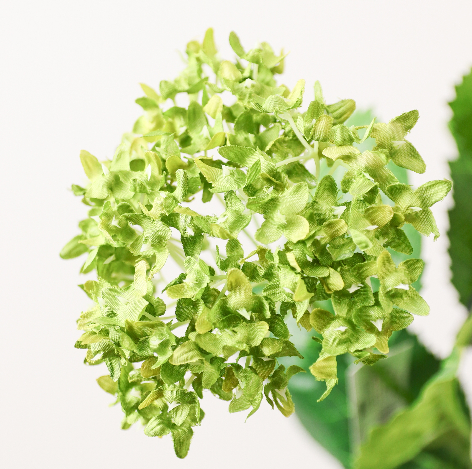 ���߲ĳ��޻�