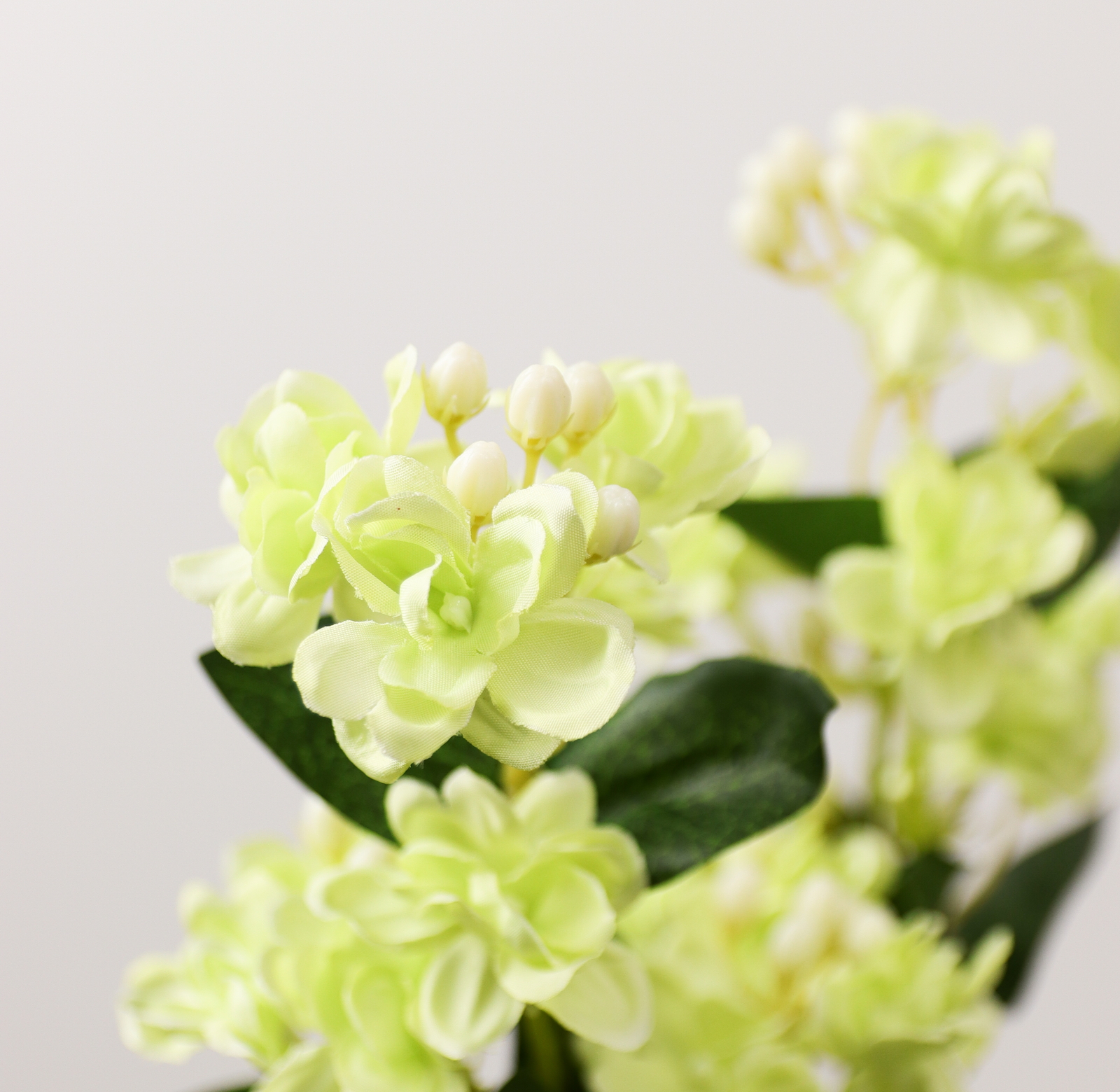 �ެ��ݽ��ڰ