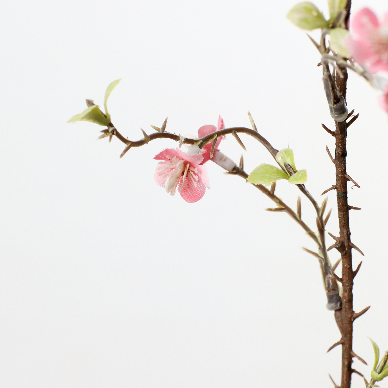 ��ɱ�����