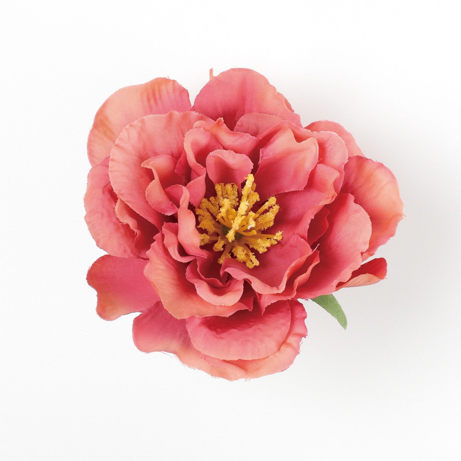 ��ٶް���۰�޽��ڰ