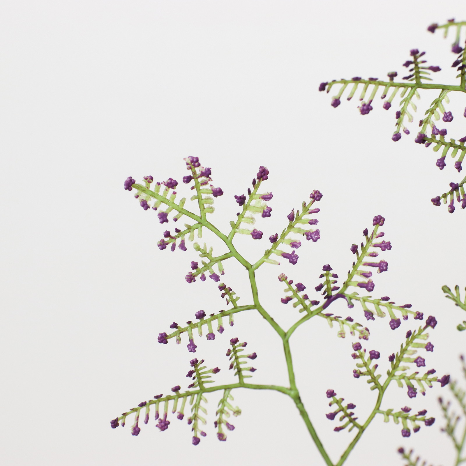 ��Ƴ������