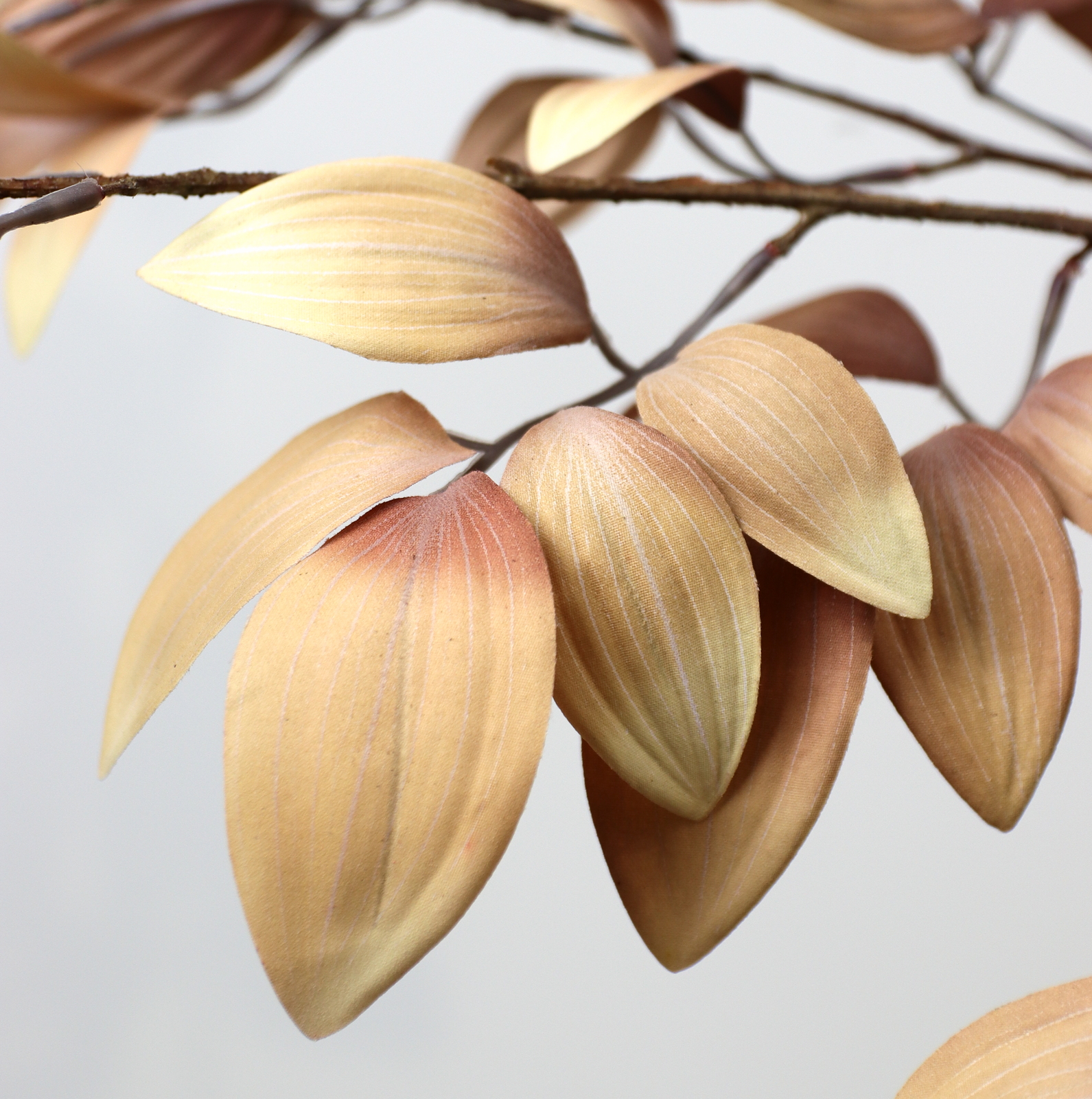 ��߱ذ̽��ڰ