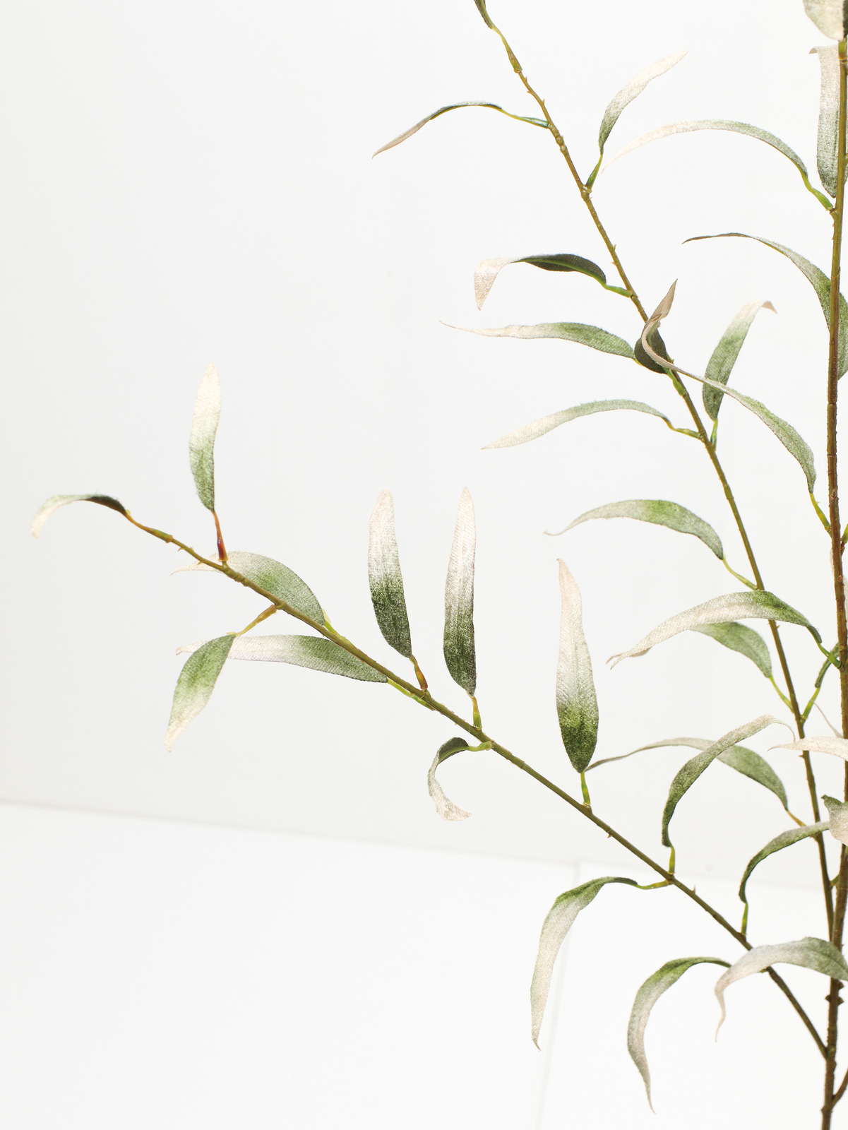 ベルベットユーカリプタススプレー