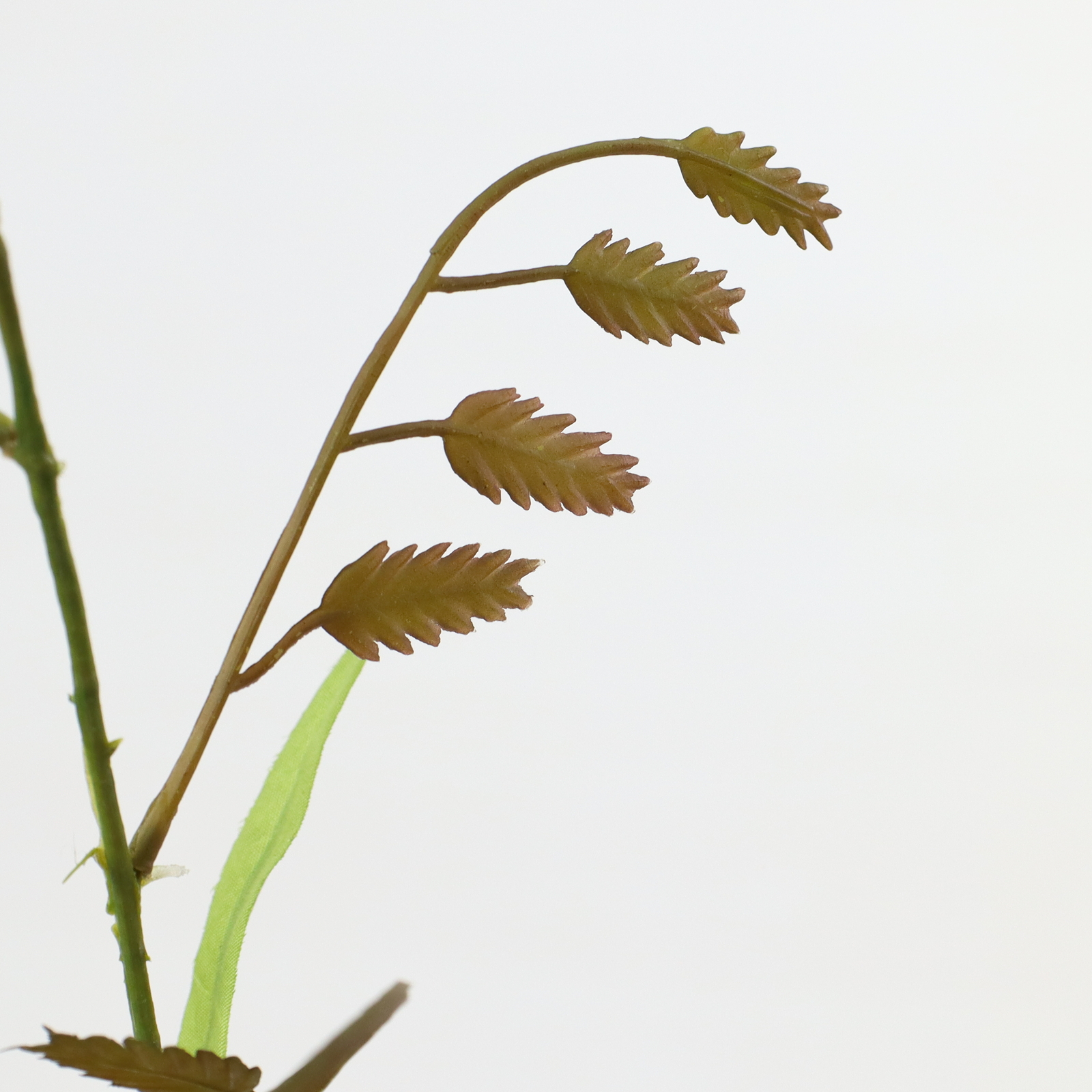 ����ݼ�ѽ��ڰ