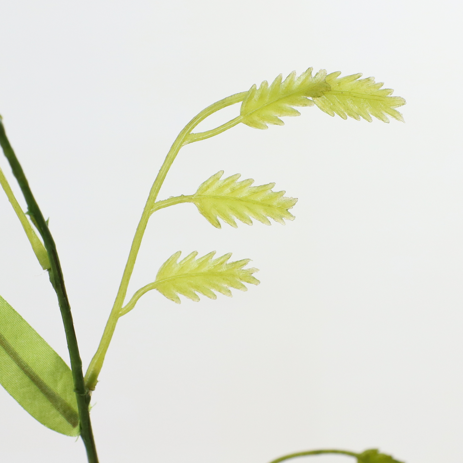 ����ݼ�ѽ��ڰ