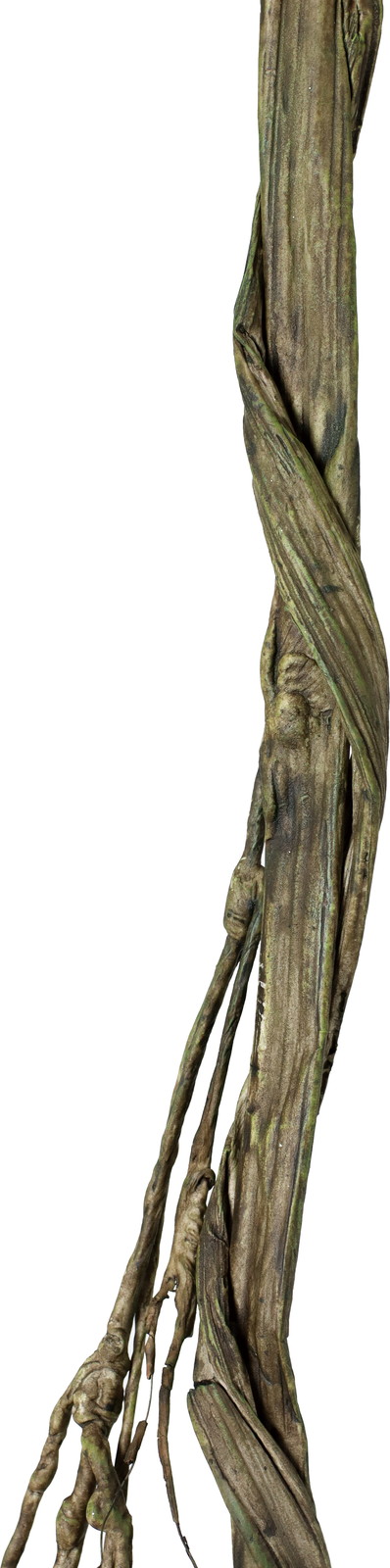 �ڷ�����޲�