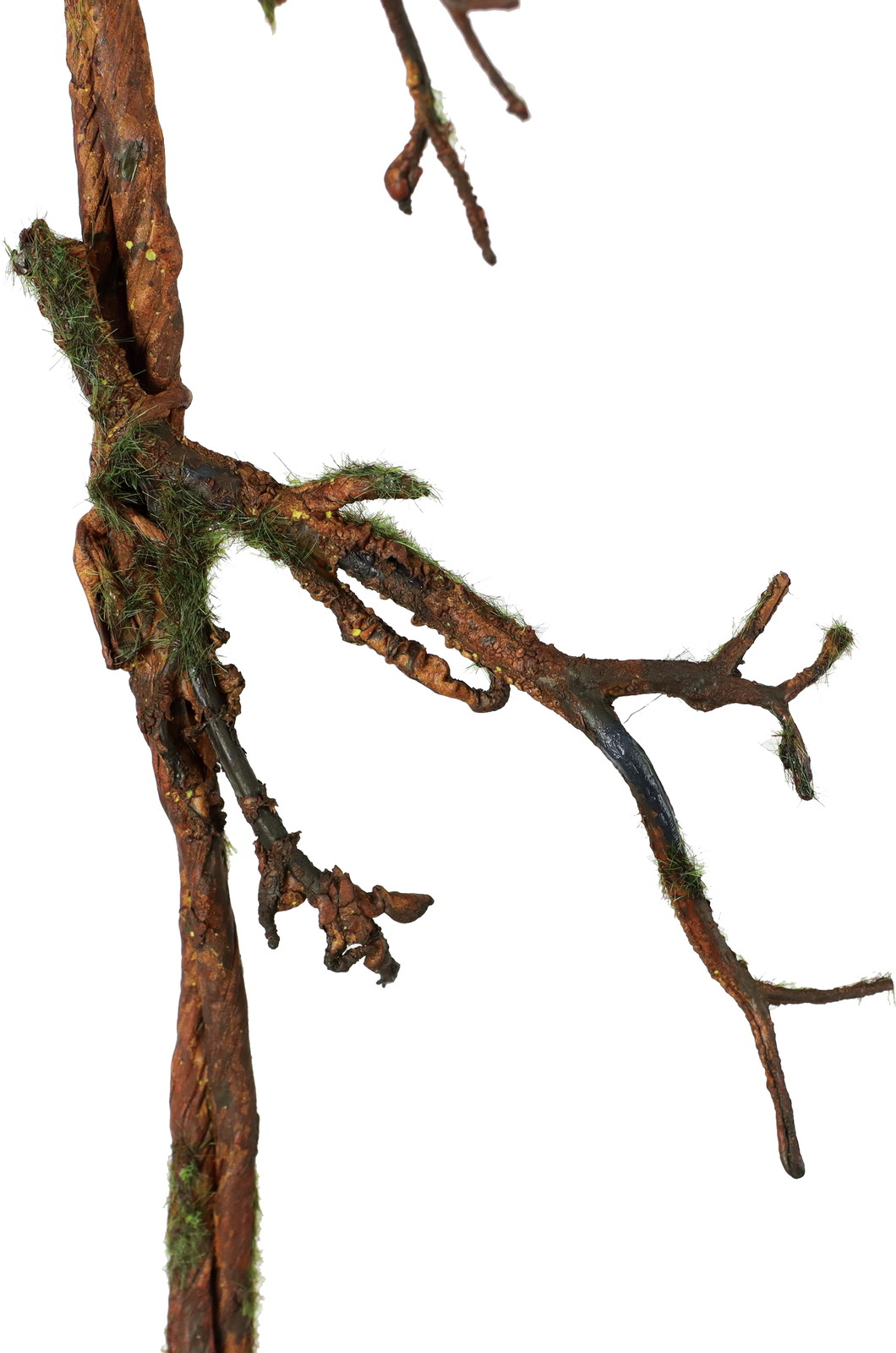 ラフロングブランチ