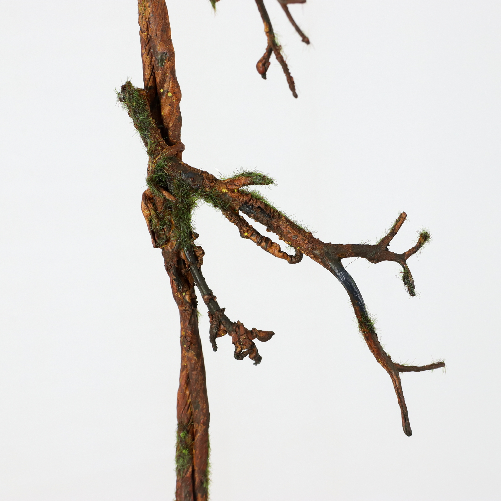 ���ݸ������