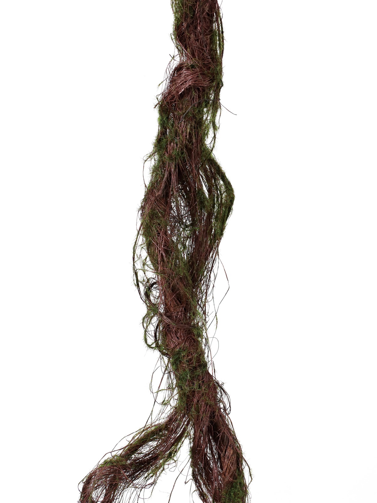 ���ݸ�ӽ�����