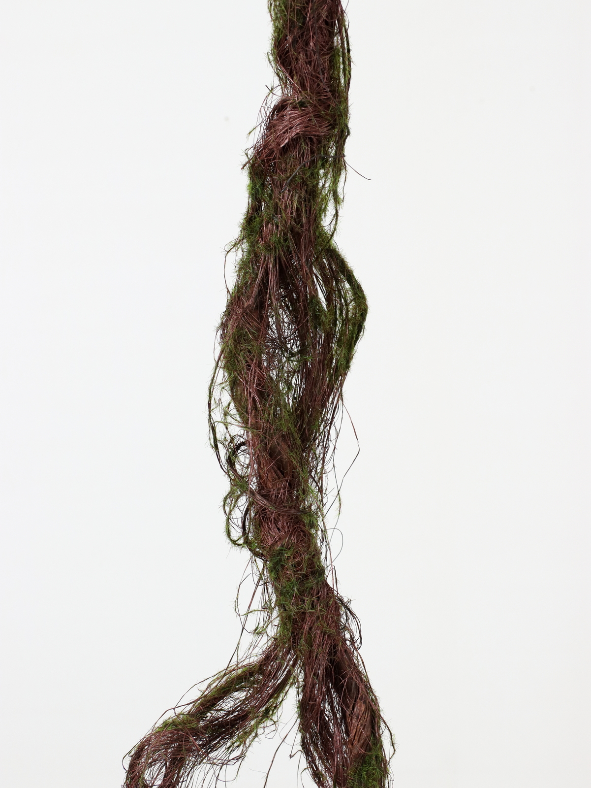 ���ݸ�ӽ�����