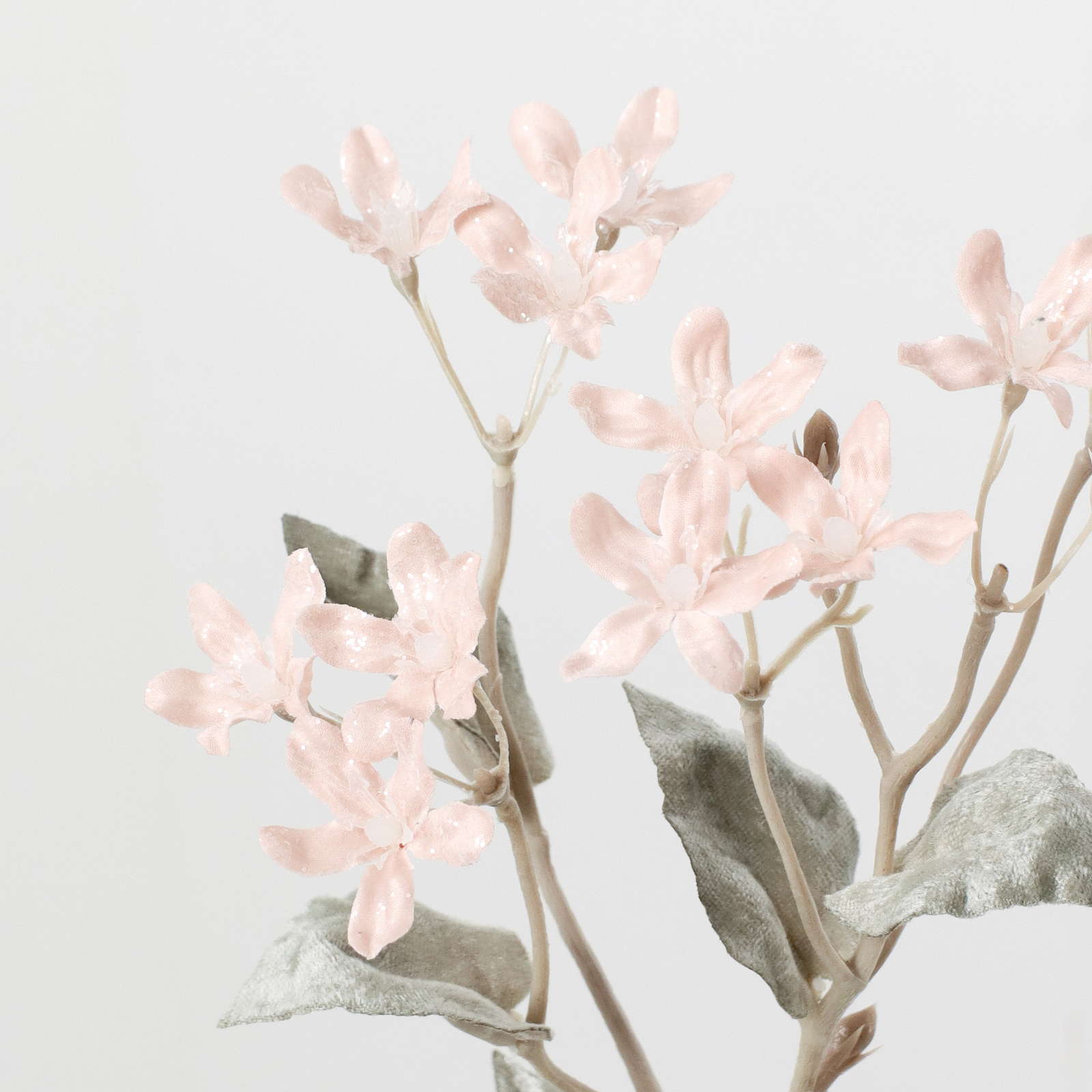 元上代¥450 スノーブルースタースプレー