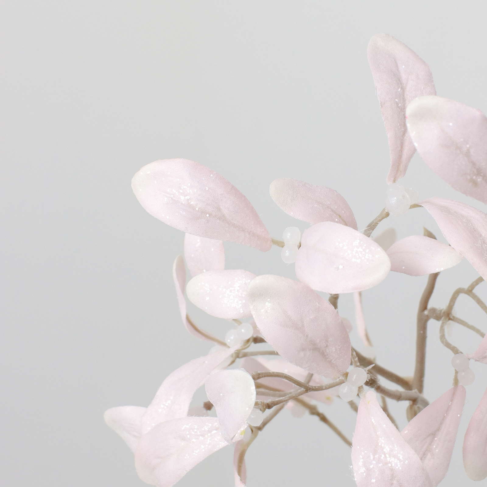 元上代¥450 スノーミスルトゥースプレー