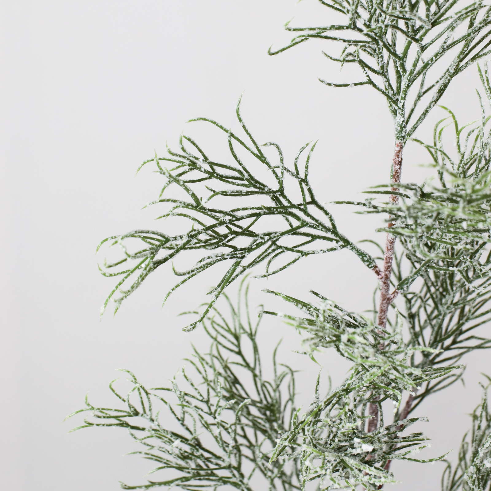 元上代¥1300 フロスティーリーフブランチ