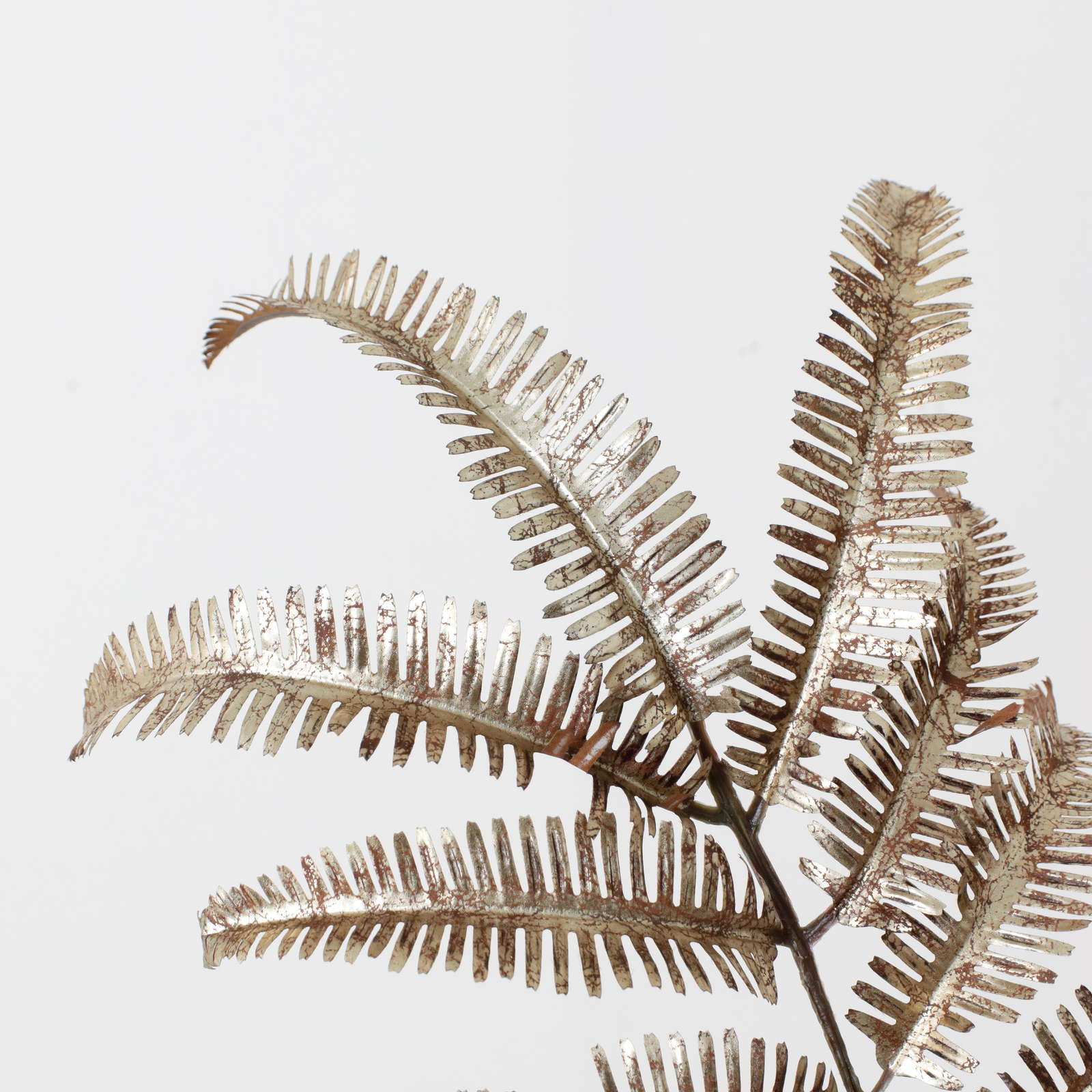 く1900@βٱؽذ̽ڰ