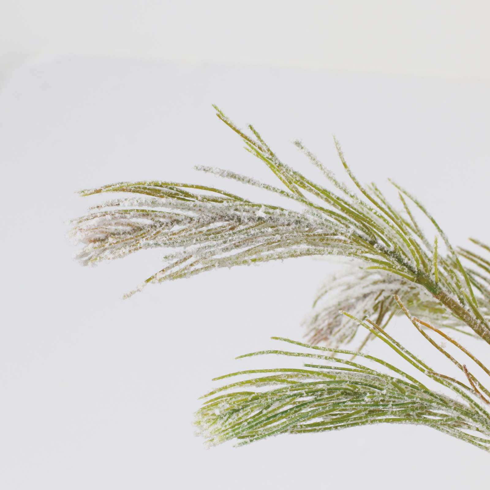 元上代¥3200 スライトスノーパインブランチ