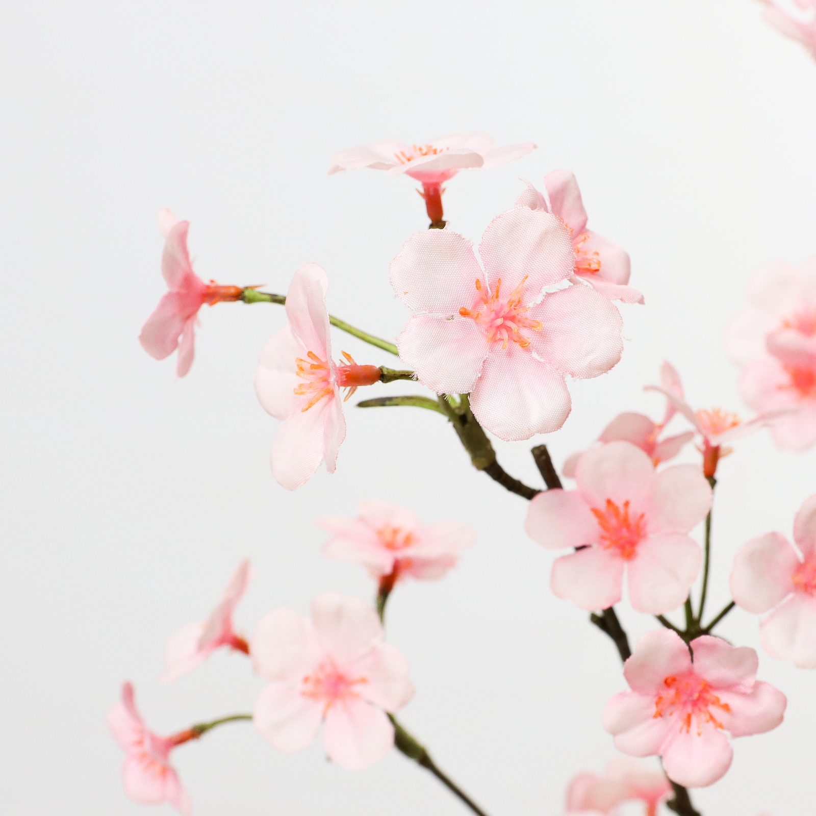 ��ư��������