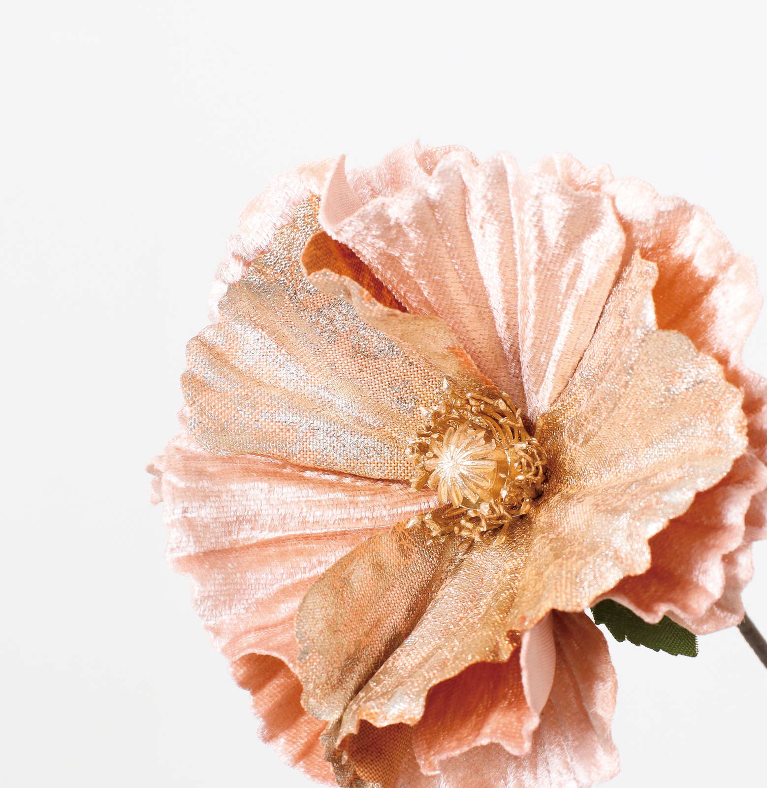 ベルベットポピースプレー