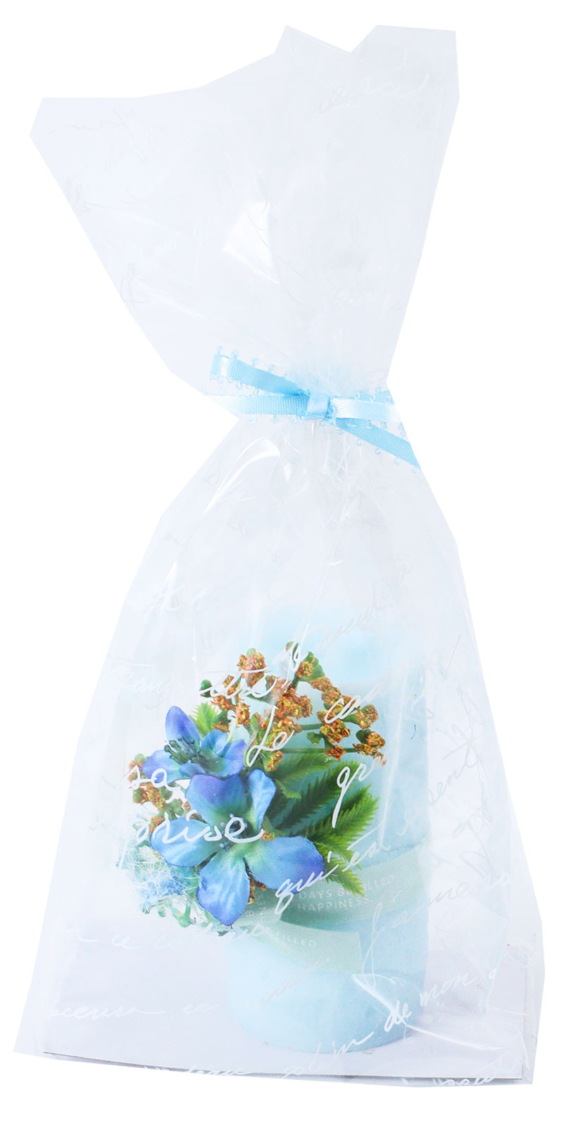 �������ٱ�ݼ� Summer