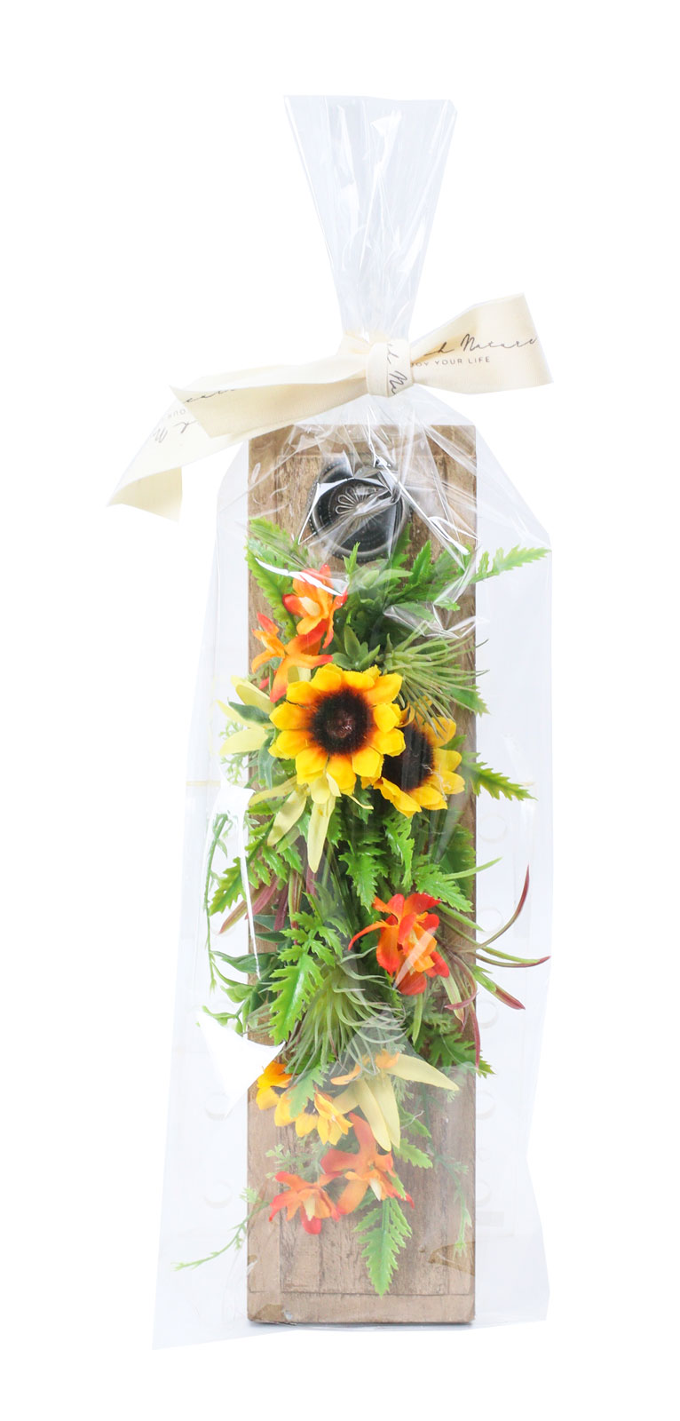 ����߽�ذ Summer