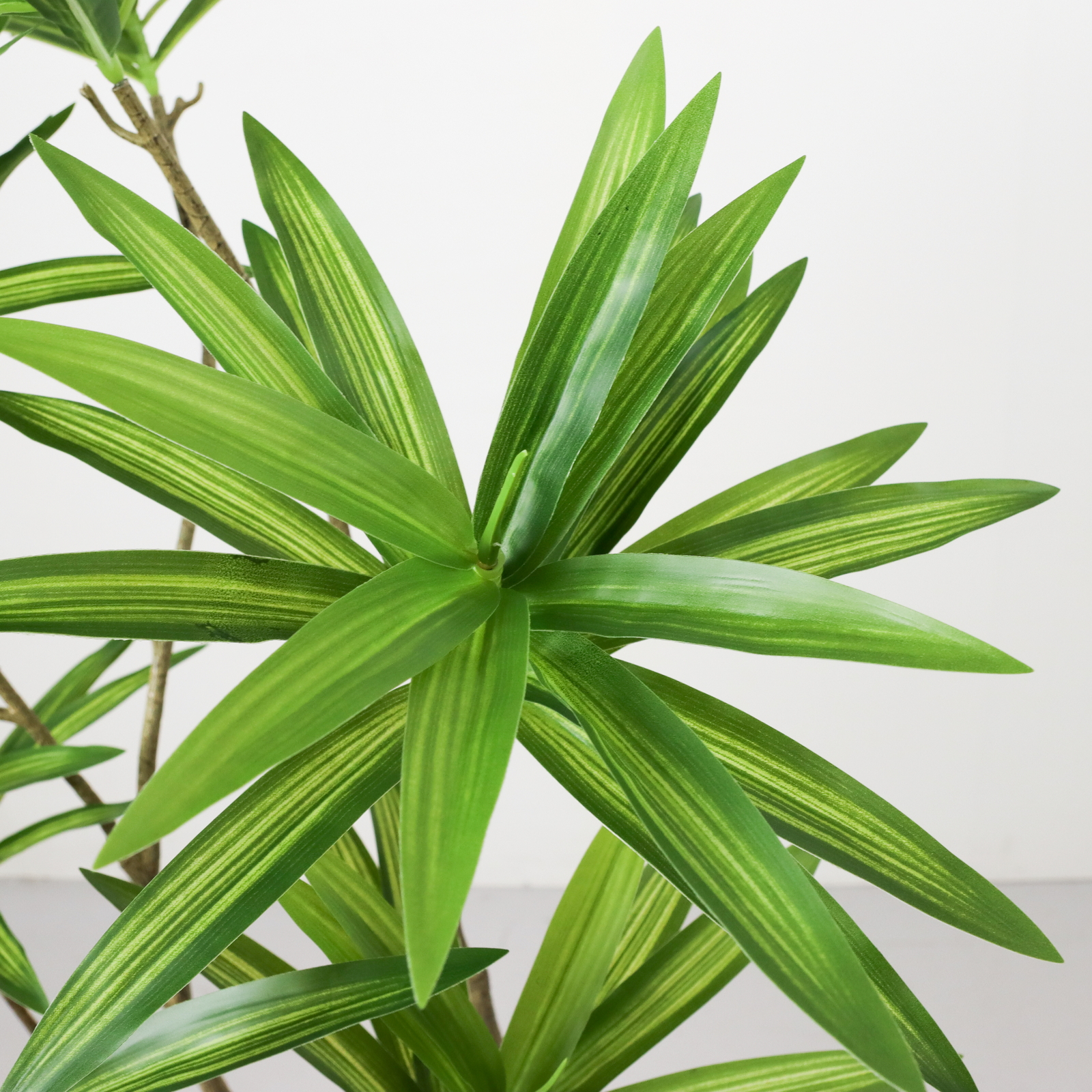 �y�����ʓr�`�z�߷��ذ