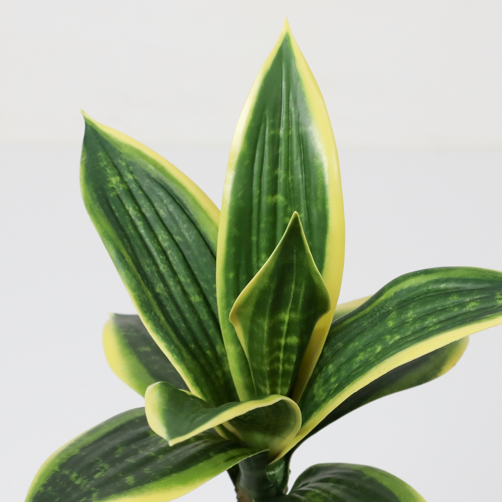 30CM�ݽ��ر�߯�