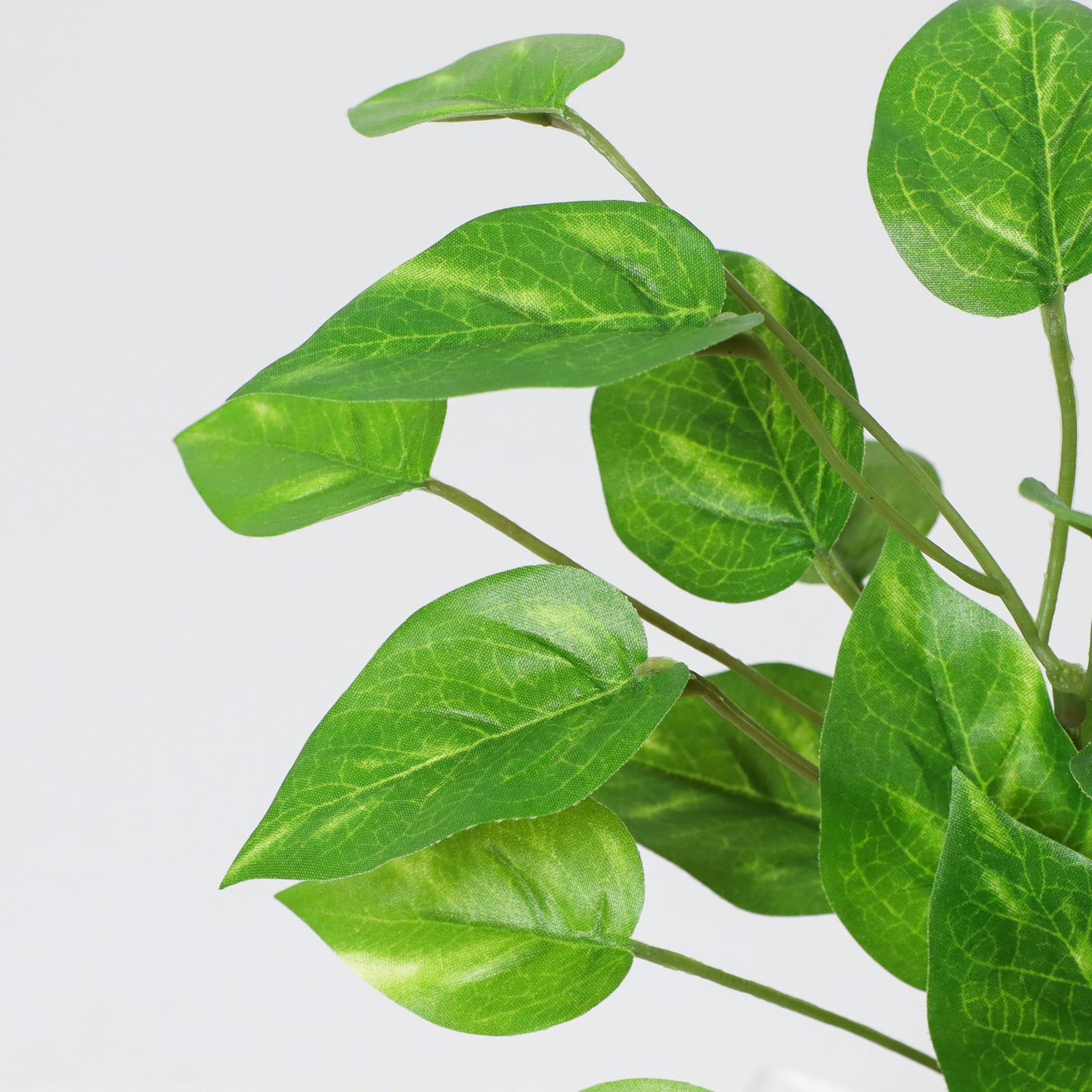 30CM��Ľ�߯�