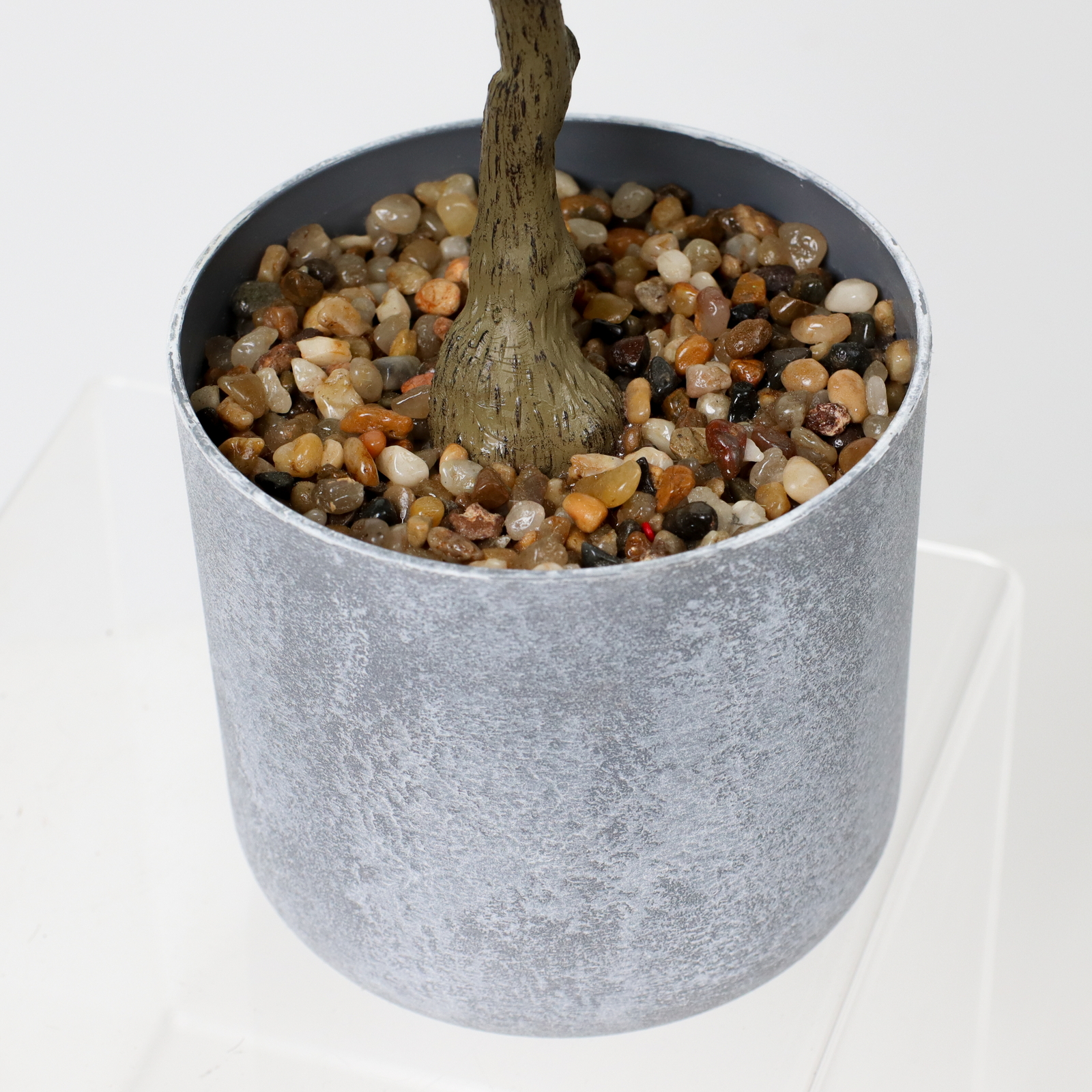 元上代¥1800 50CMリーフポット