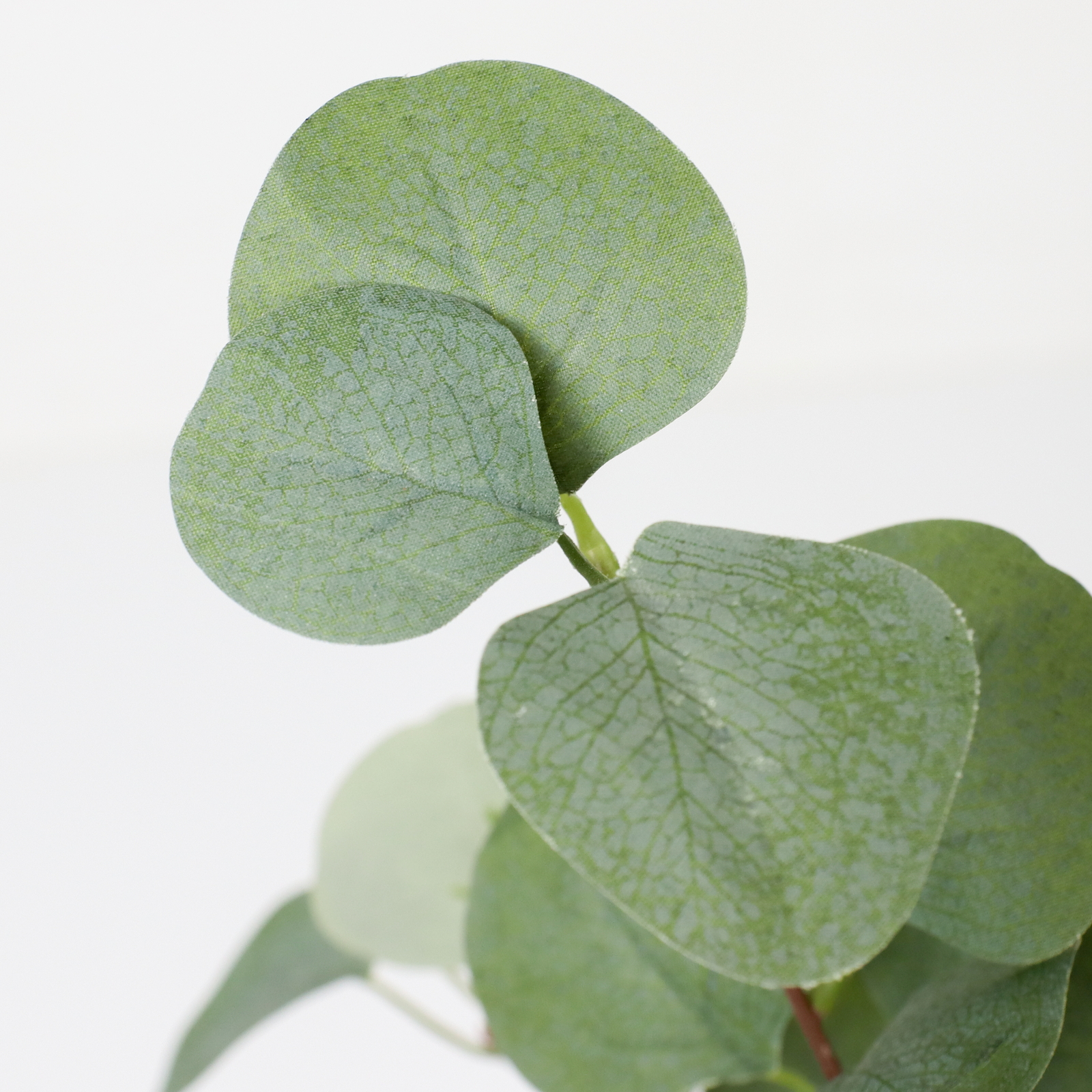 60CMհ���߯�