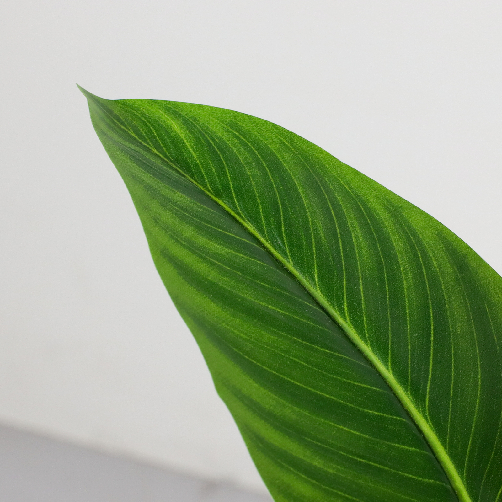 60CM���޽��߯�