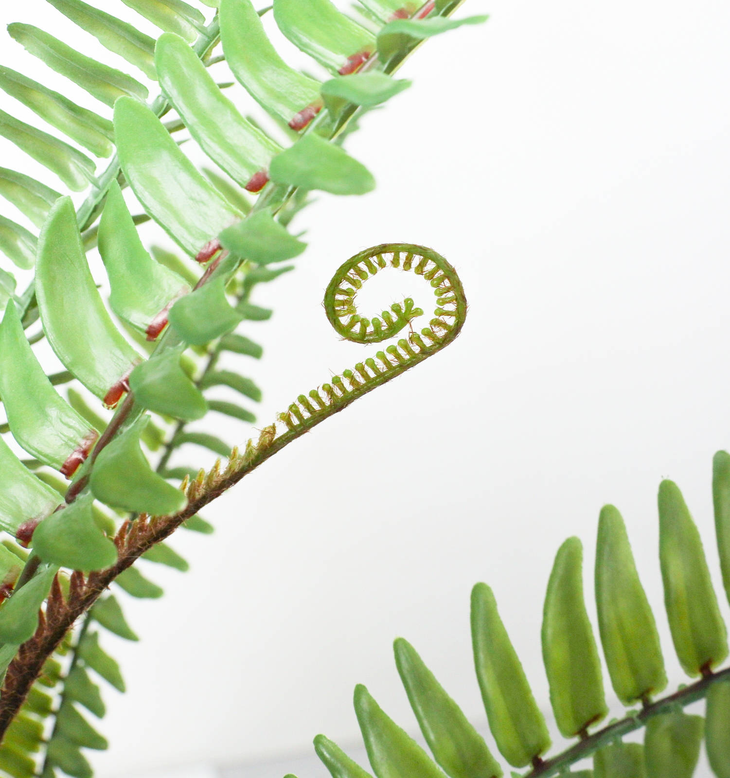 ����く4800 90CM��ް��߯�