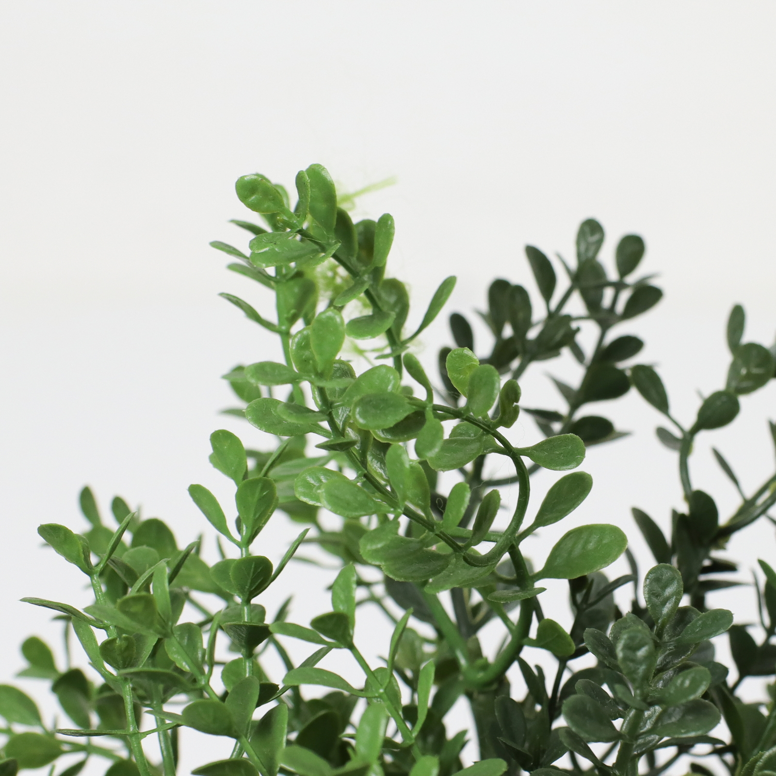 �ޯ�������߯�