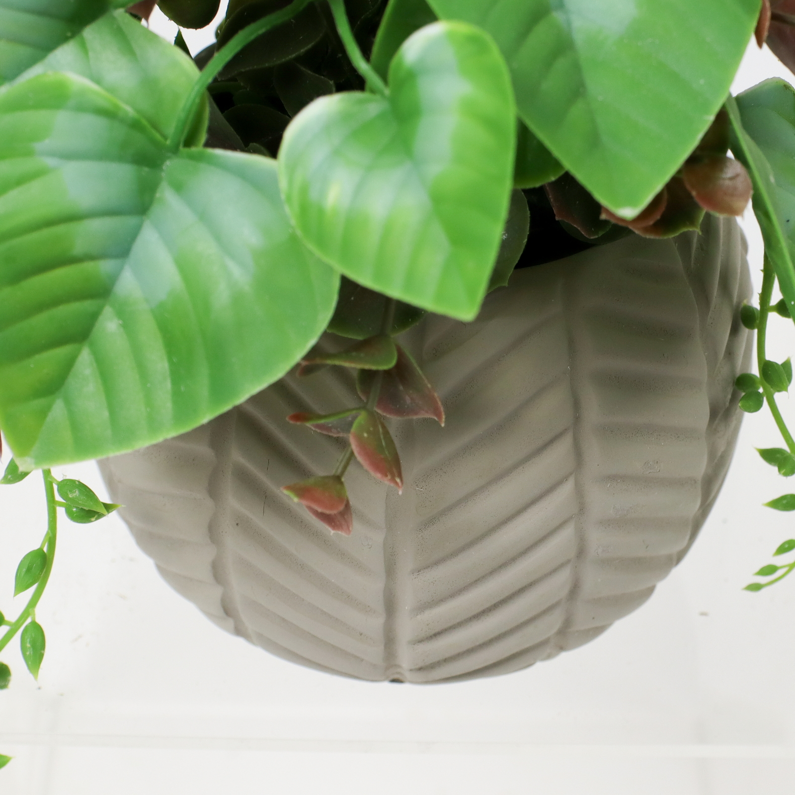 հ��Я��׳��ޱ�ݼ�S