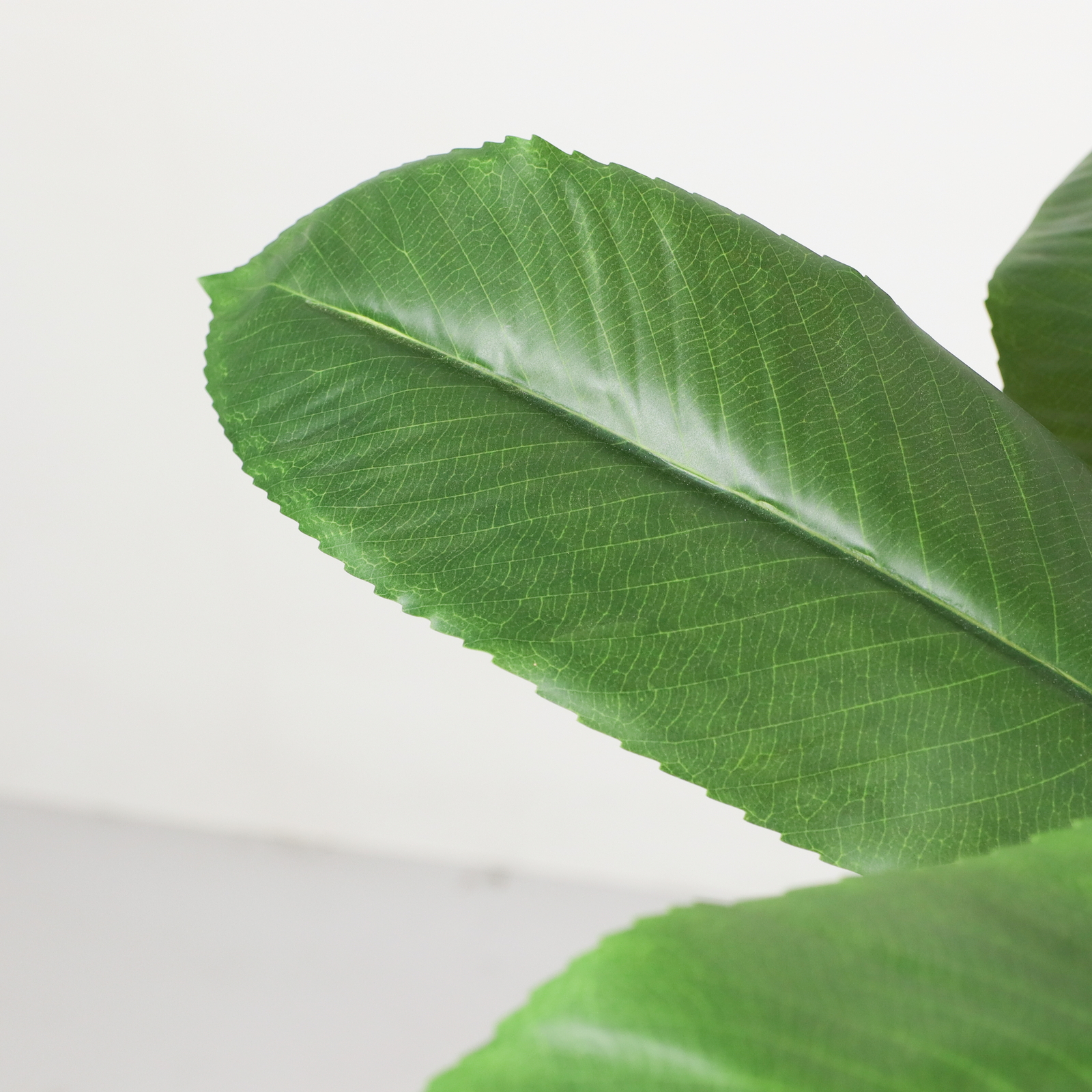 �y�����ʓrB�z180CM��̧�ı����