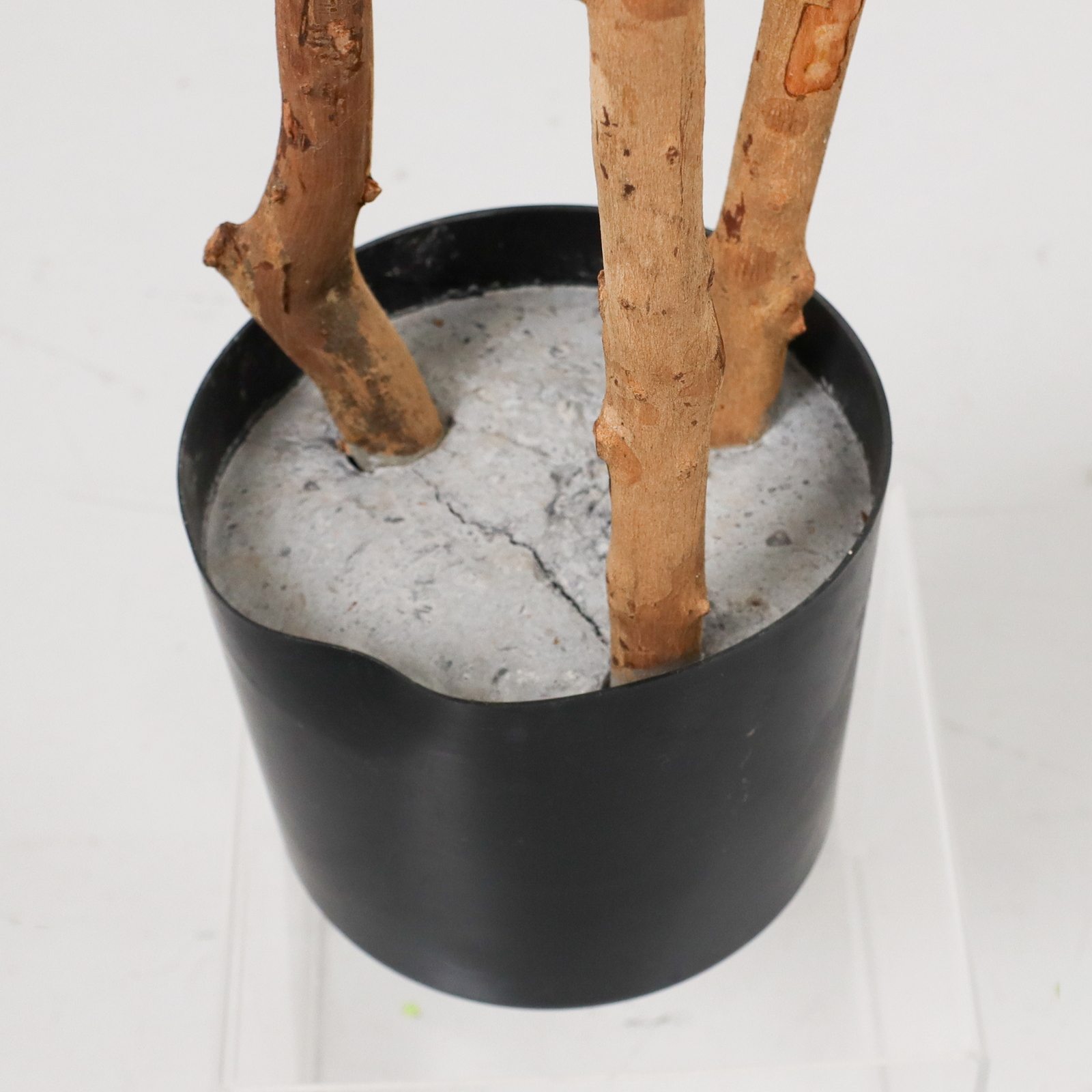 �y�����ʓrB�z180CM����ݺ��